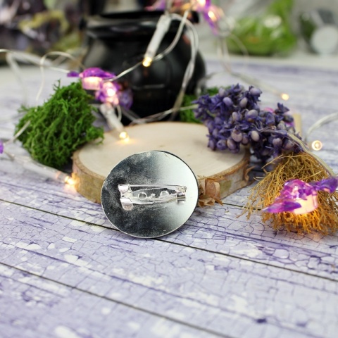 Broszka Harry Potter